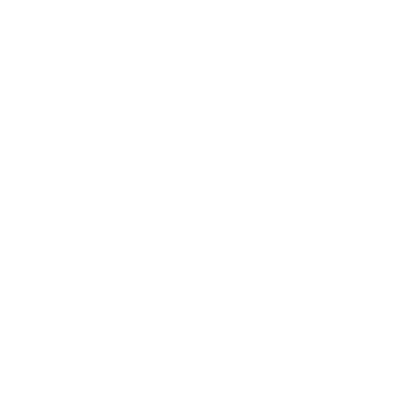 Digital Society